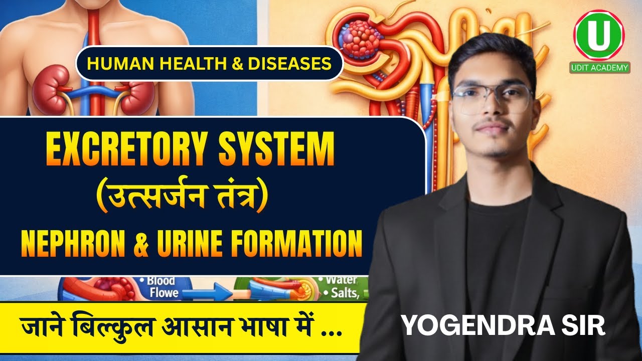 Excretory System | Nephron & Urine Formation | Complete Biology Lecture for JEECUP & D.Pharm