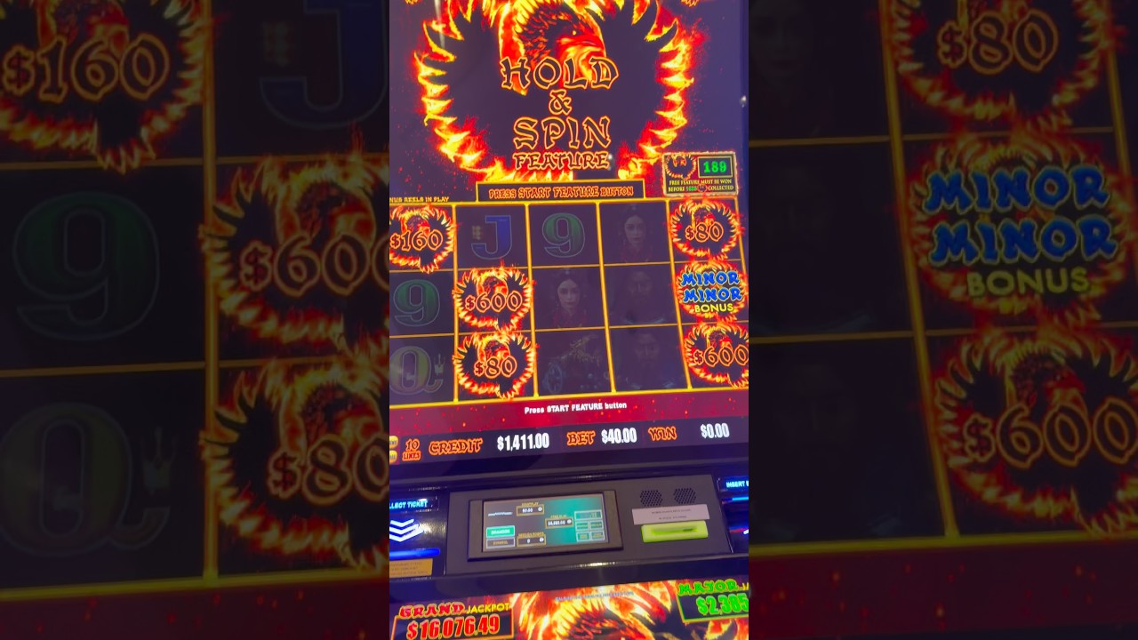 Massive almost 200x bonus!! #gambling #fun #slots #win #bluff #casino #handpay #phoenixlink