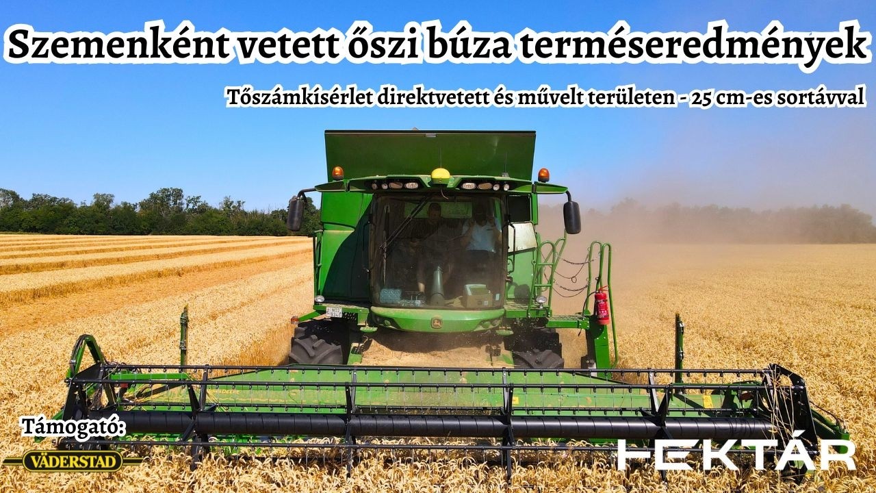 Lenyűgöző őszi búza terméseredmények szemenként vetéssel, 25 cm-re - Proceed tapasztalatok (I. rész)