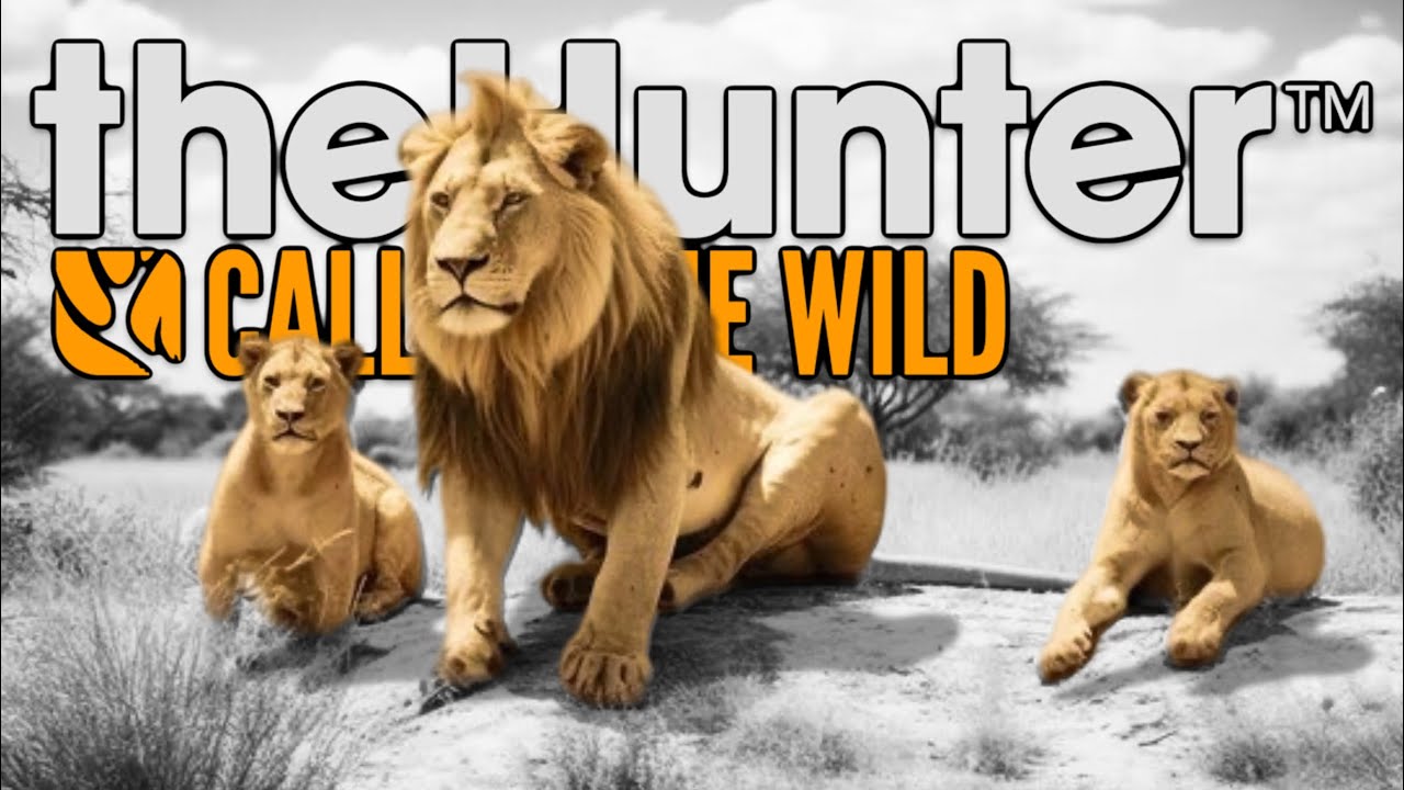 SURVIVING AFRICA!