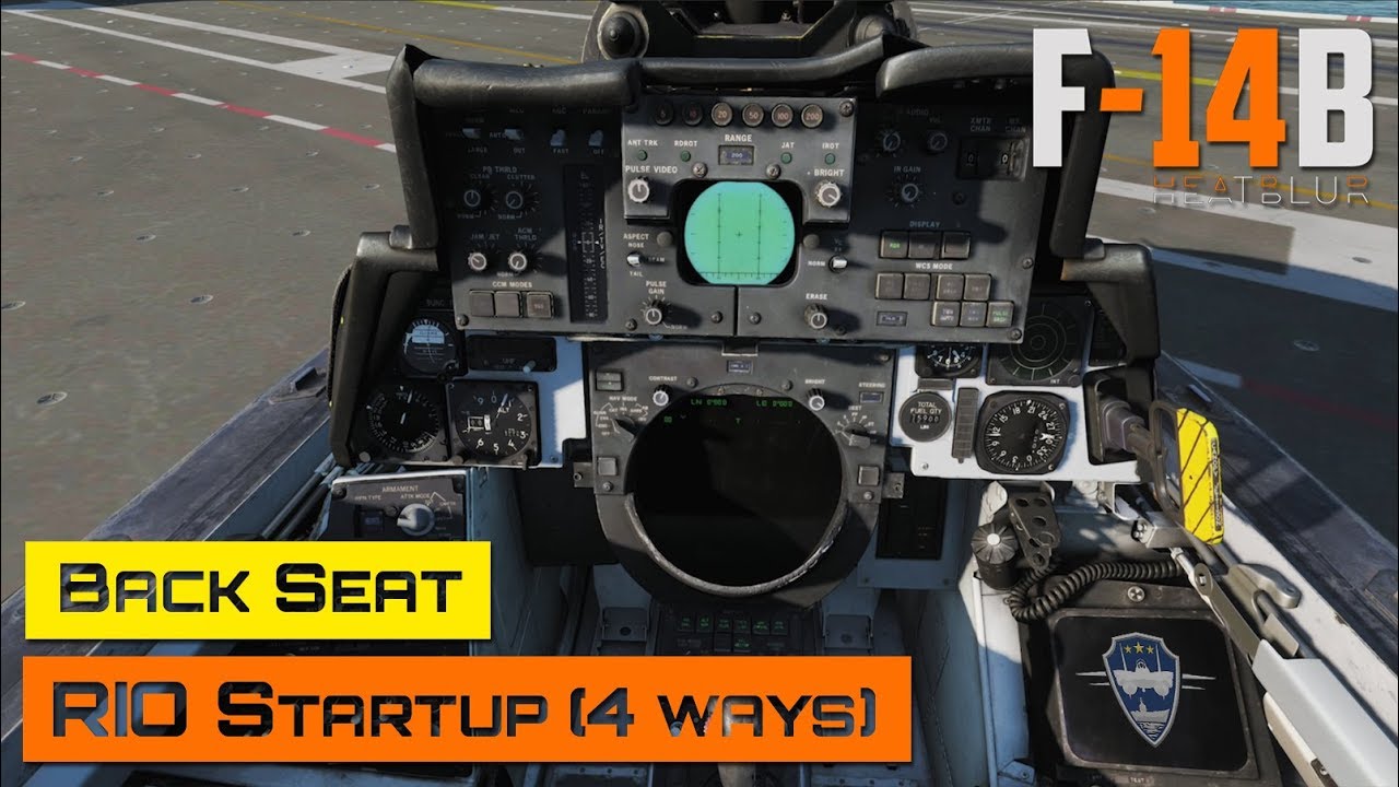 DCS World - F-14 Tomcat - Back Seat - RIO Startup (4 different ways)