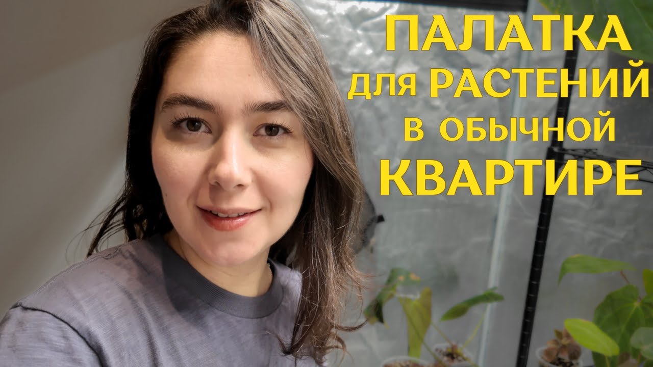 ГРОУТЕНТ для цветов | ПОЧЕМУ я решилась | обустройство ГРОУБОКСА и ПЕРЕСТАНОВКИ в витринах 🌱 ВЛОГ