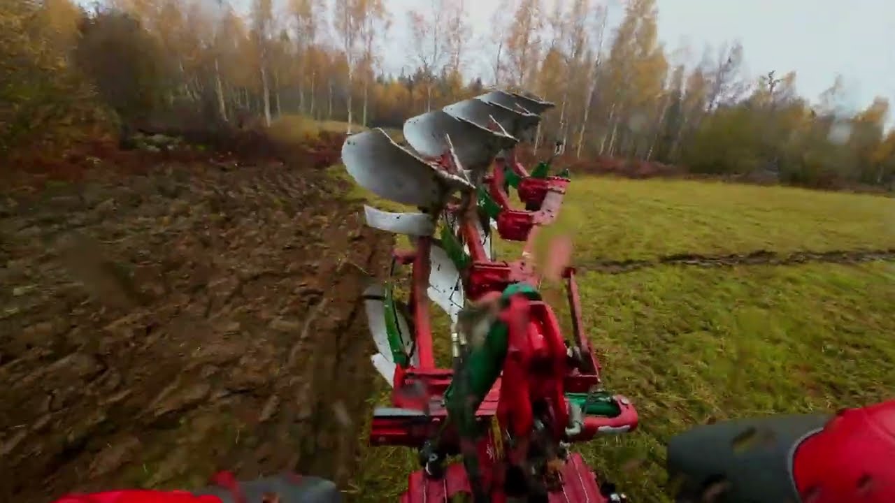 Höst plöjning med Massey Ferguson 5445 och kverneland EM 85.