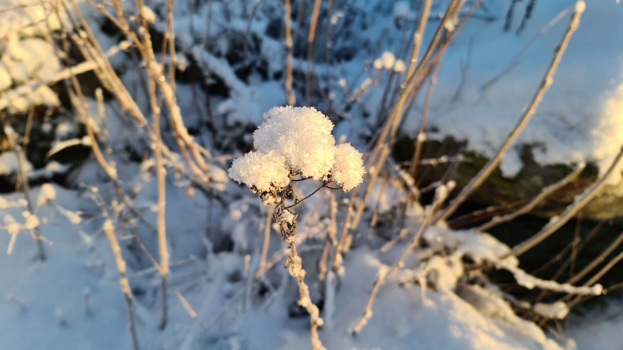 Beautiful landscapes from  Närpes -Finland. A film created by Ivaylo Petkov.