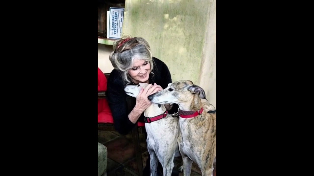 Brigitte Bardot Today: A Life Dedicated to Animals 🐾❤️