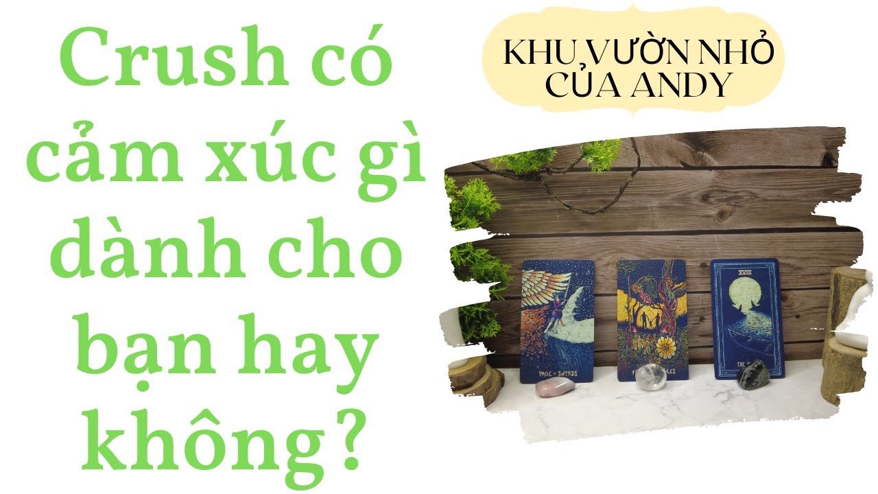 Crush có cảm xúc gì dành cho bạn hay không? {Crush only} | Chọn 1 tụ bài | Xem tarot