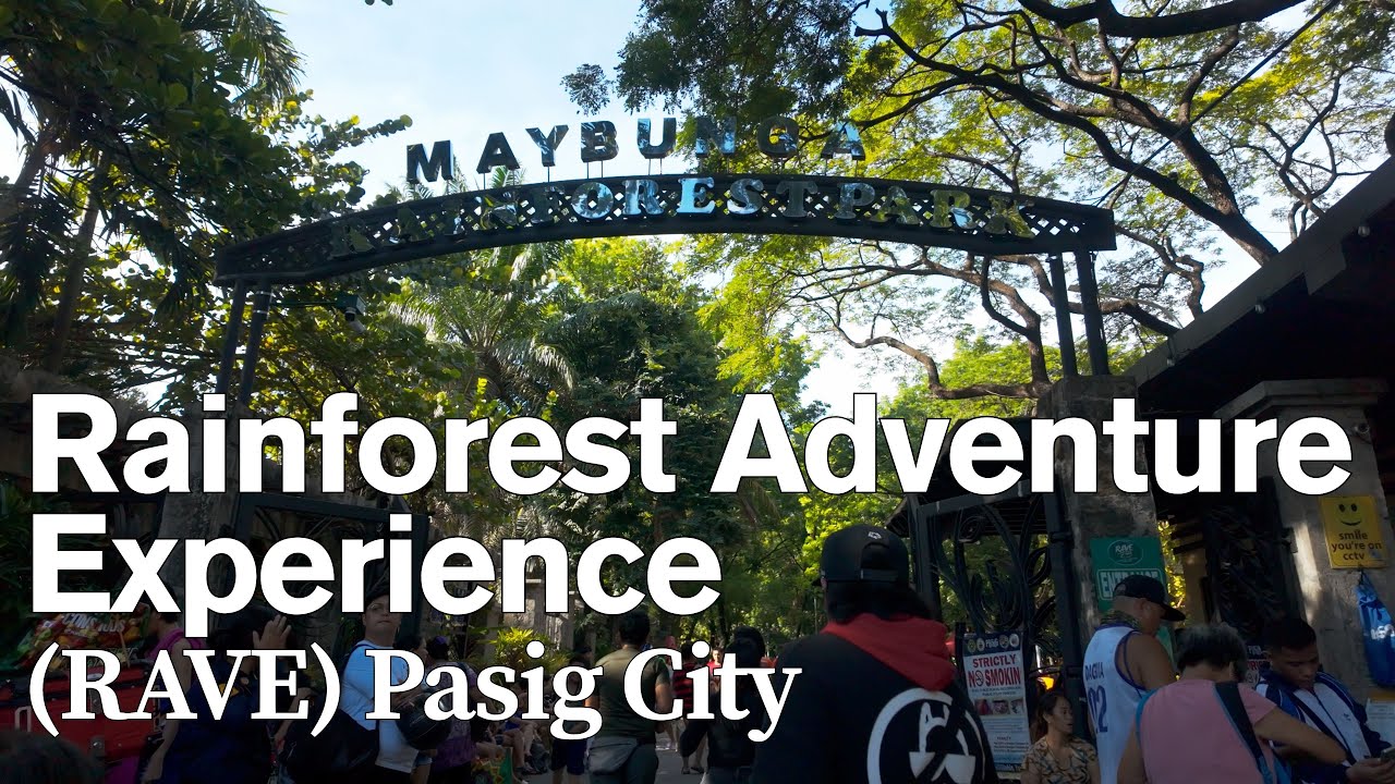 🌳 Walk Around Pasig Rainforest Park | Nature Escape in the City 🚶‍♂️🌿