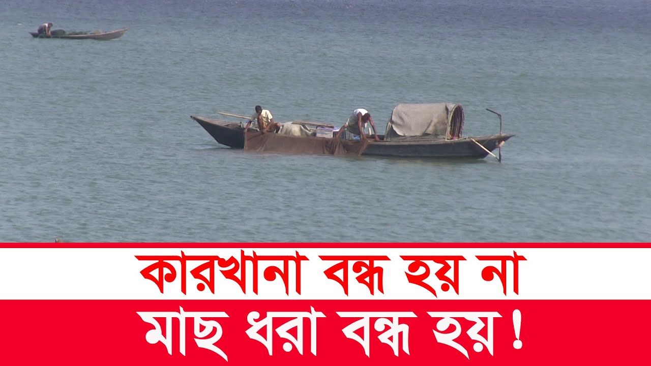 চরে থাকতে ভালো লাগে না | চর রাজ রাজেশ্বরী | rural life | padmar char | mahamudul hasan | Y Bee