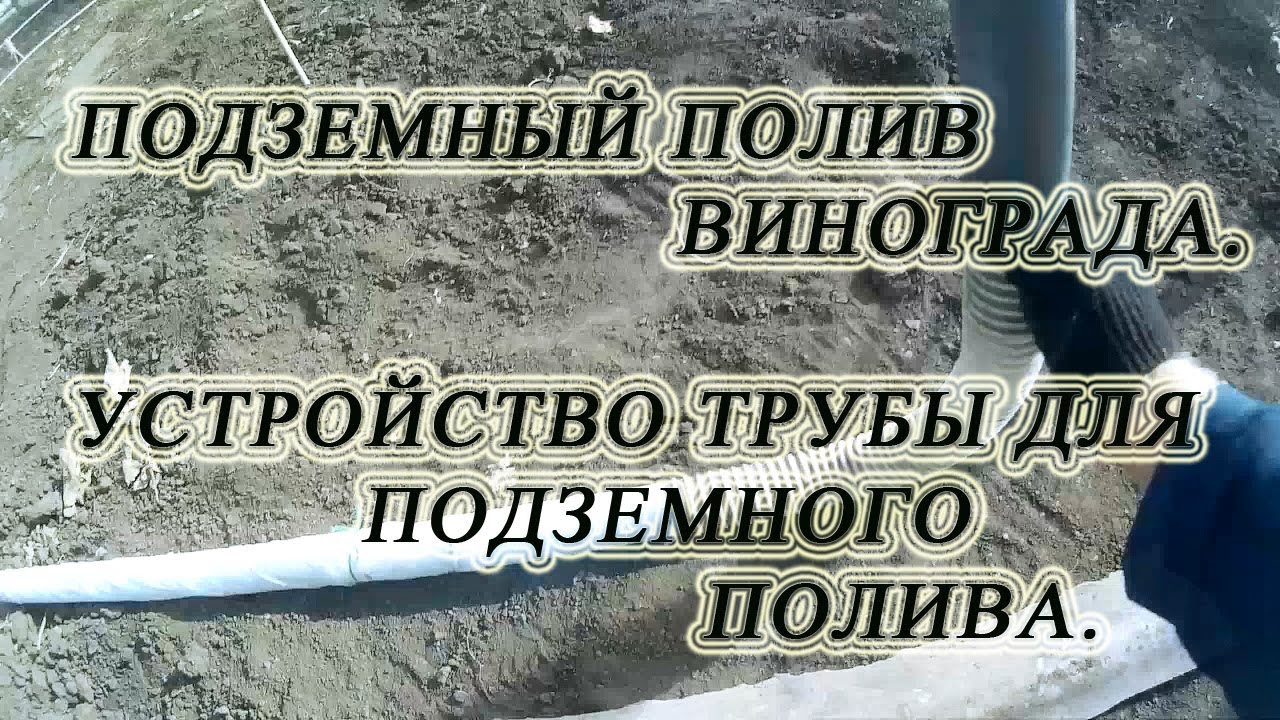 🍇 Подземный полив винограда. Устройство трубы для подземного полива.