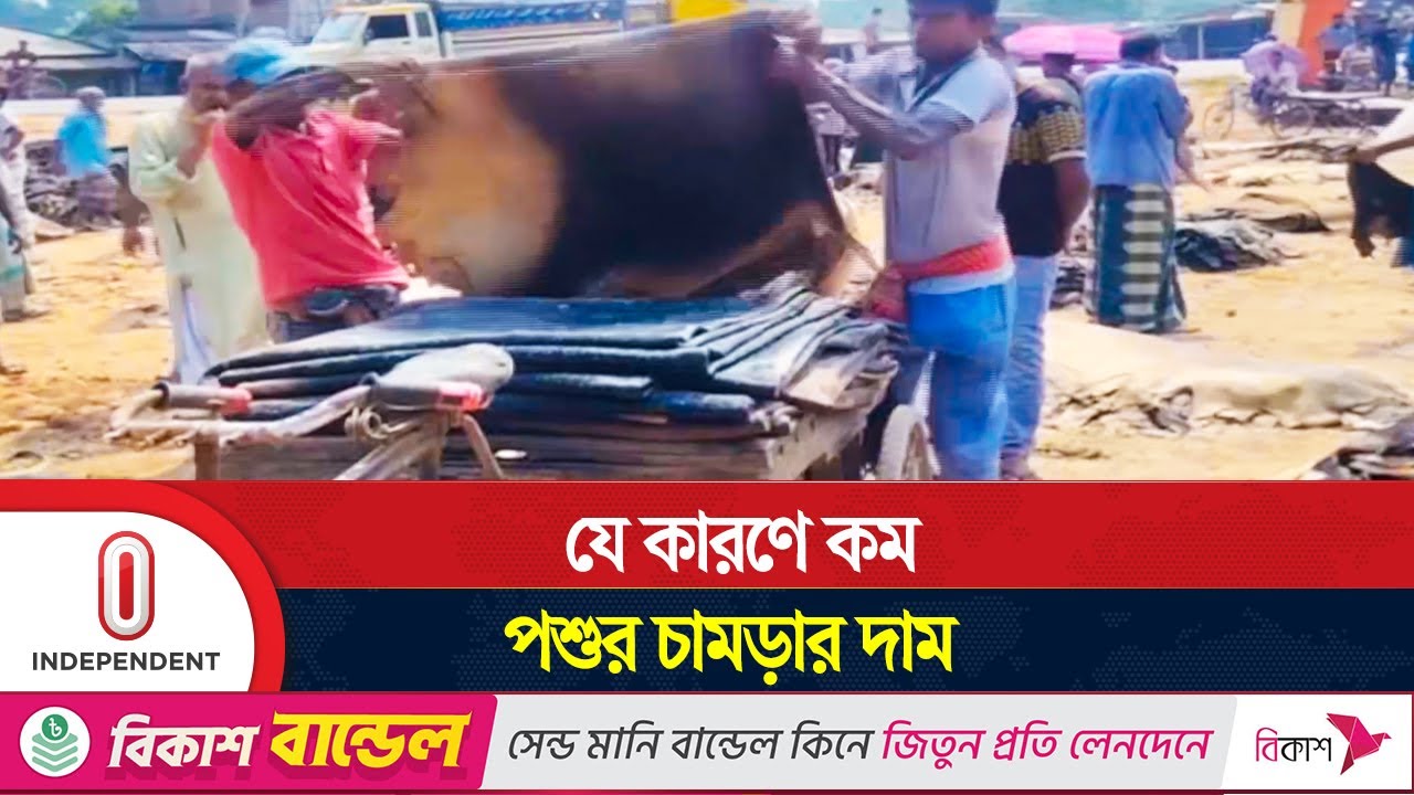 চামড়ার সরকারি দাম পাননি রাজারহাটের ব্যবসায়ীরা | Jessore | Rajarhat | Independent TV