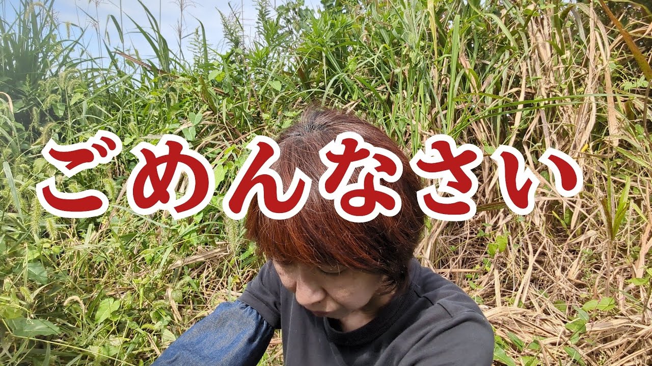 不注意から可哀想なことをしてしまいました