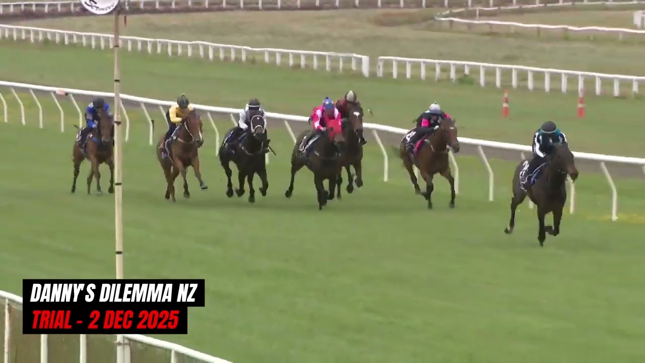 Danny's Dilemma | ABR Opportunity