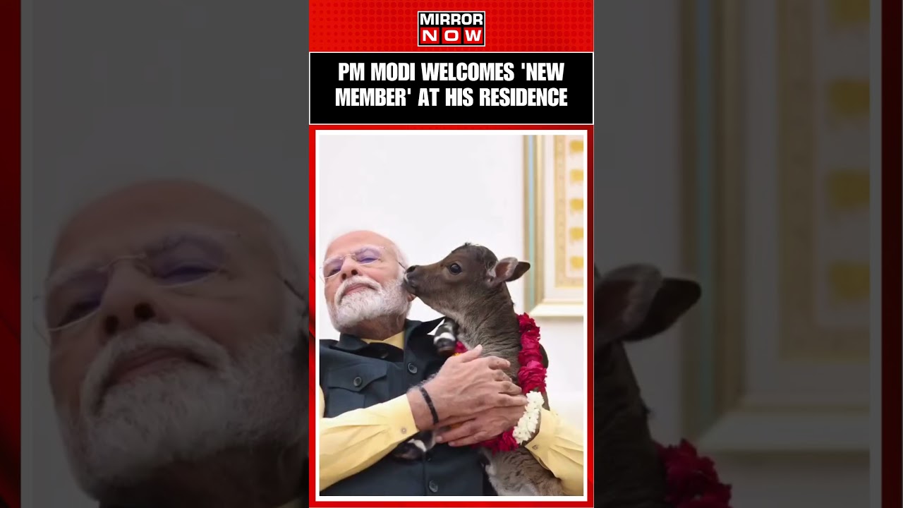 Meet PM Modi's New Family Member, 'Deepjoti' At His Lok Kalyan Marg Residence | #shorts