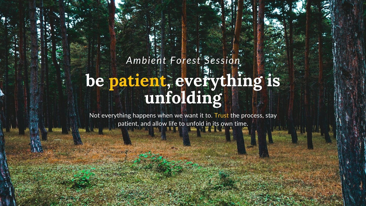 be patient, everything is unfolding