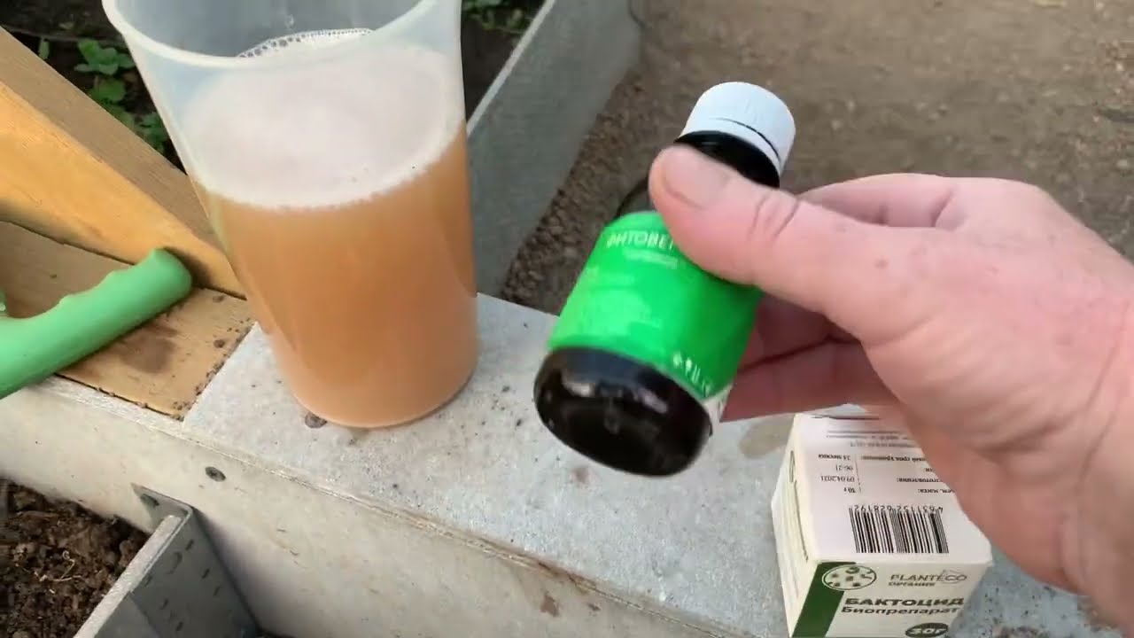 Туманообразователь.Обработка теплицы.