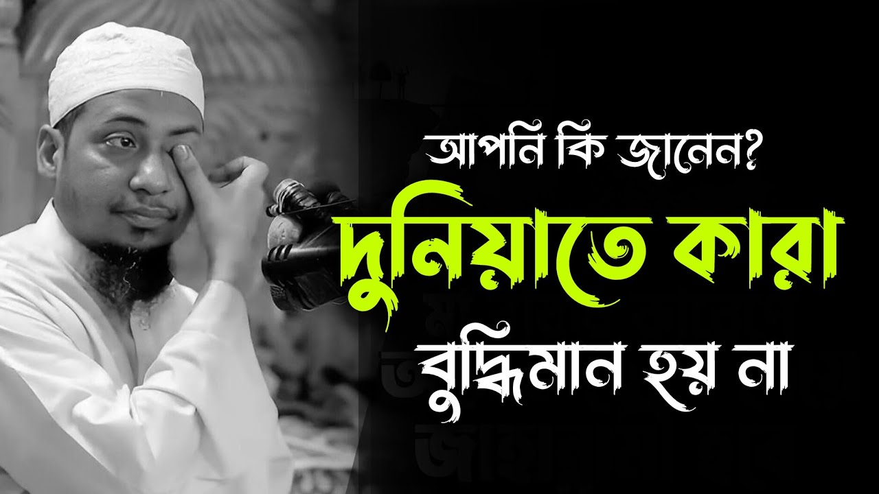 দুনিয়াতে যারা বুদ্ধিমান হয় না | আনিসুর রহমান আশরাফী | Anisur Rahman Ashrafi Waz