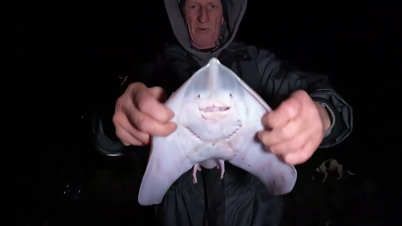 ЛИЛСТОК 12 12 25 НЕСКОЛЬКО РЫБОК ВОКРУГ. #пляжнаярыбалка #морскаярыбалкаВеликобритания #Бристольс...