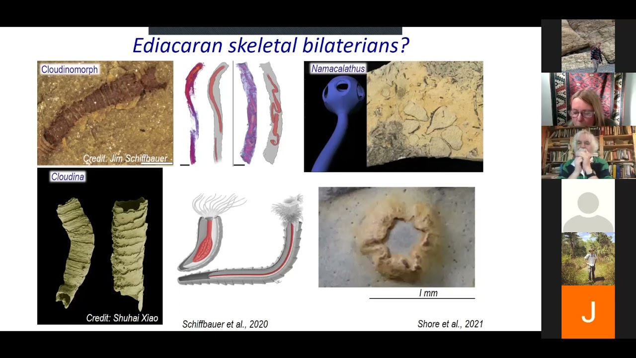 Tracing the roots and drivers of the Cambrian Explosion - Dr. Rachel Wood