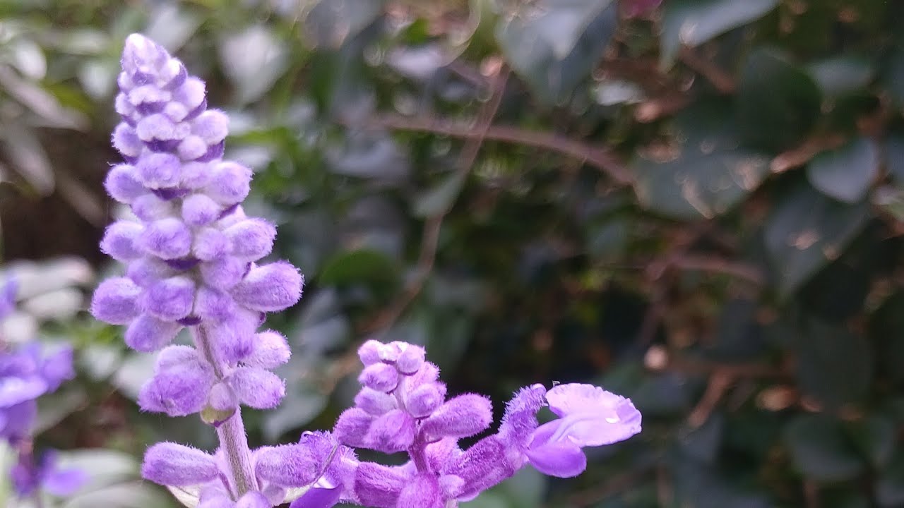 ADVENTURES of QUEZONIAN  is live! PLAY THE GAME 