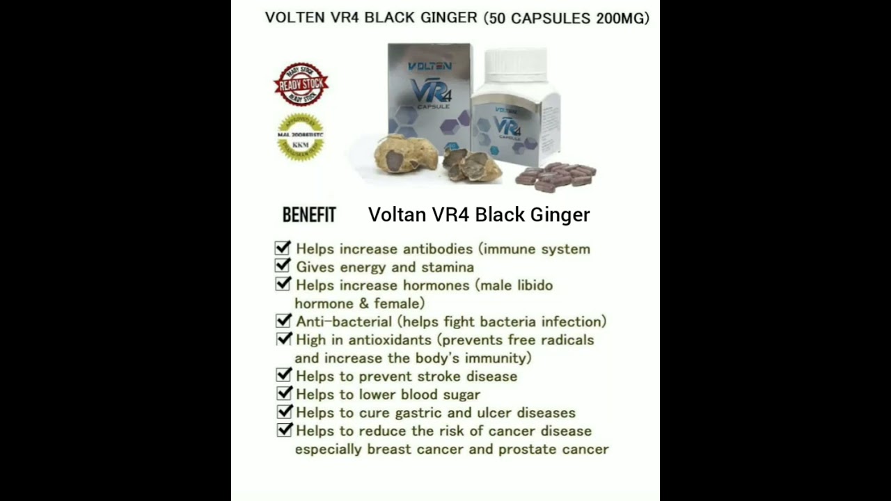 Volten VR4 Black Ginger