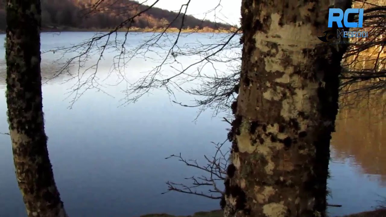 LAGO MAULAZZO - Uno dei Posti pi&ugrave; belli dei Nebrodi
