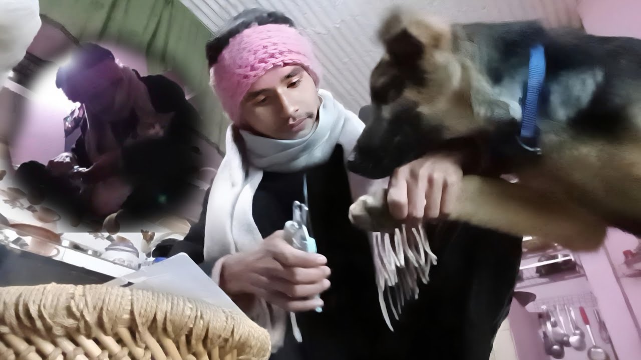 Leo Or Coco Ke Nakhoon Kat Diye 🫢