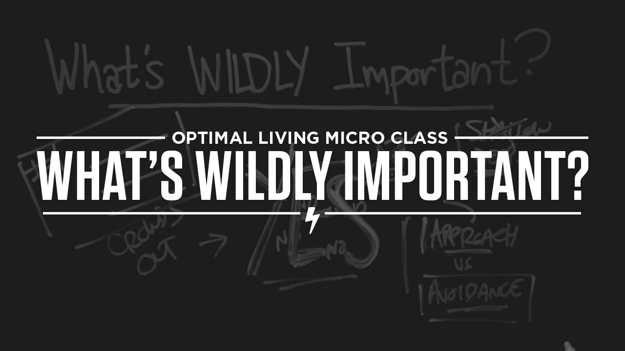 Micro Class: What's Wildly Important
