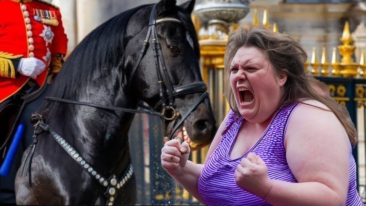 Foolish Tourists Annoy Royal Guard Horses — and Instantly Regret It!