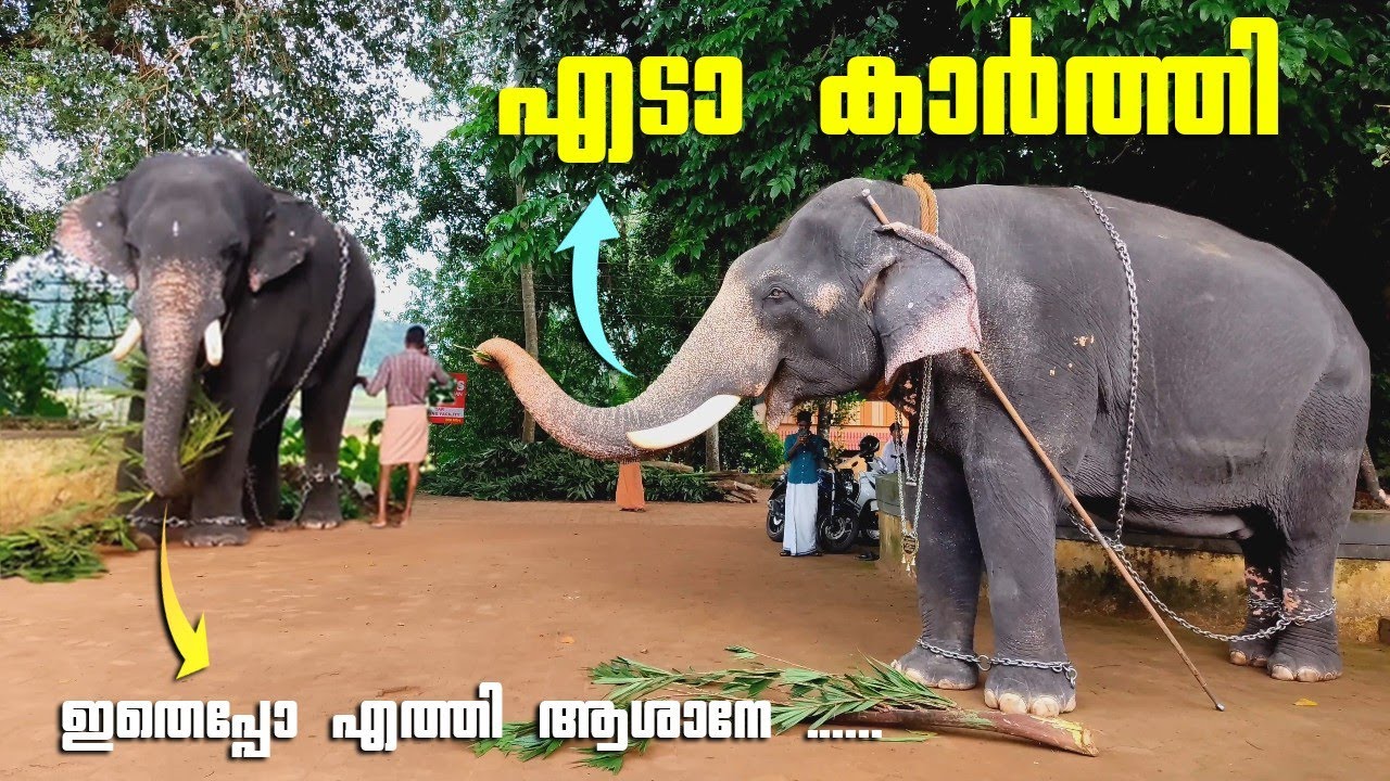 കാർത്തിയെ കണ്ടപ്പോ ഗോപാലന്റെ കുശലാന്വേഷണം 🥰 | Machad Gopalan Invite Akkikavu Karthikeyan