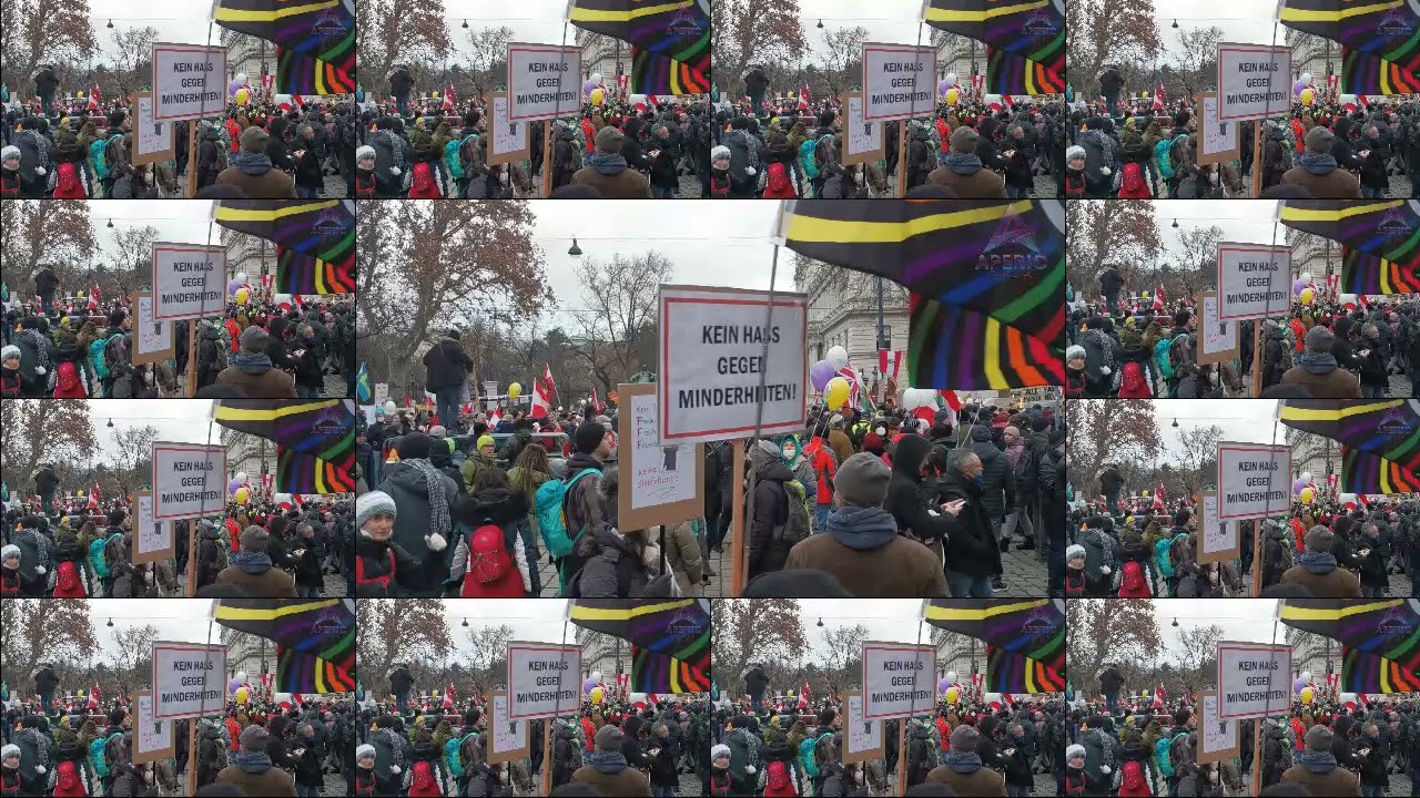 🇦🇹 Wien Gro&szlig;demo - 08.01.2022 - Impressionen