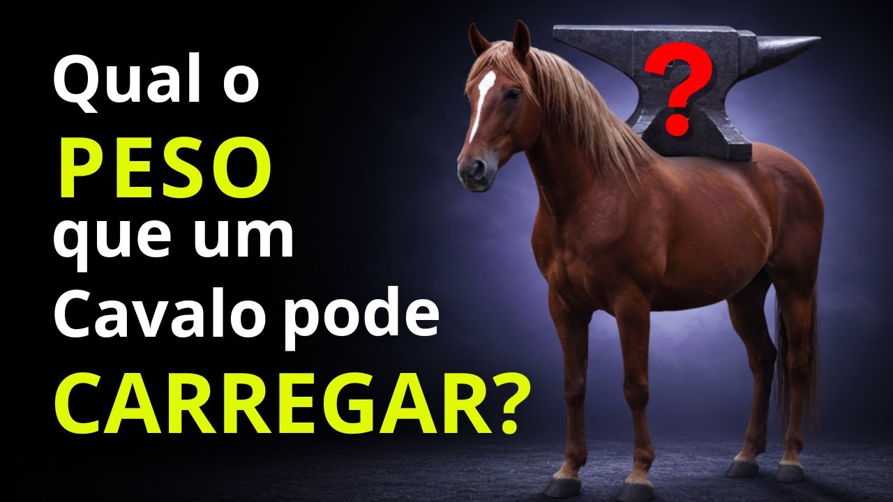Quase NINGUÉM sabe sobre a CAPACIDADE de CARGA dos CAVALOS