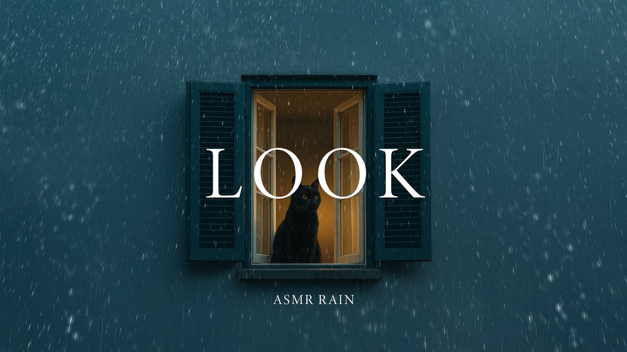 ASMR Rain &ndash; Cozy Window Rain Ambience With a Black Cat (For Deep Sleep & Insomnia Relief)