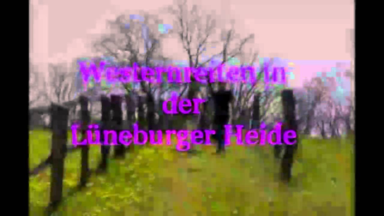 Westernreiten in der L&uuml;neburger Heide