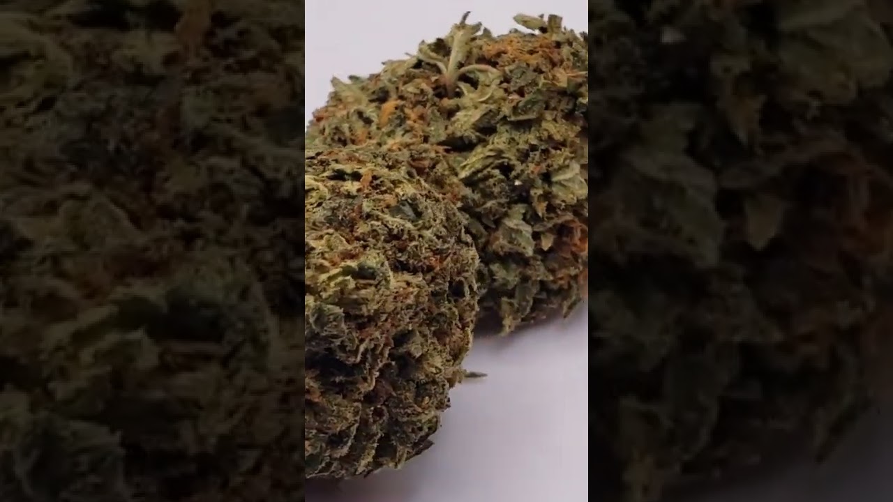 BUDBUDBUD - SNOOP DREAM