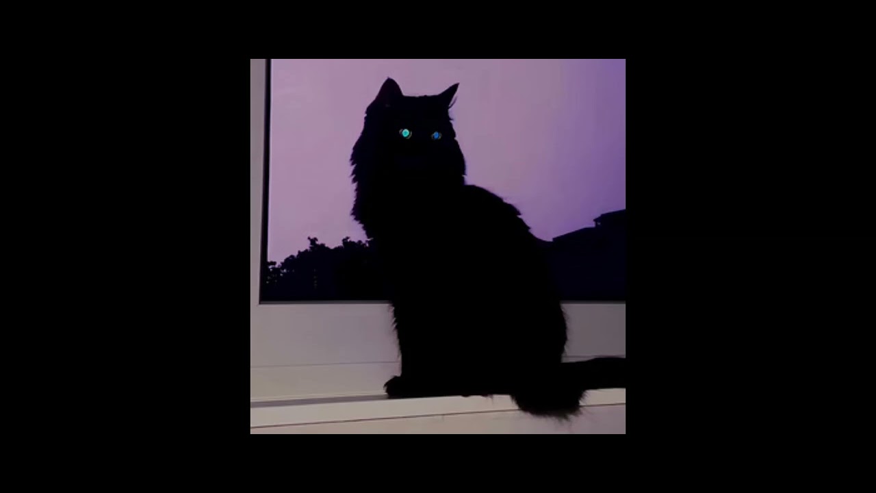 LAnaYA - Она пишет мне Wassup