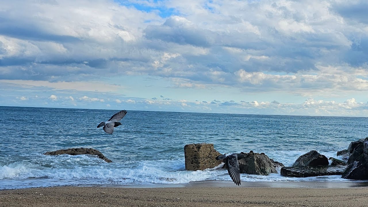 Barcelona Beach LIVE ⛱️ Soothing Waves & Sea Breeze, Spain 🇪🇸