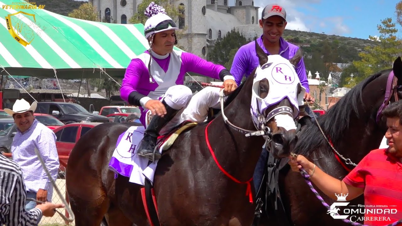 El Cocodrilo 🐊 C. RH. Carril El Mexicano, HGO.