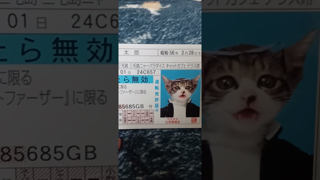 懐かしいなめ猫のカード&マンホールカード