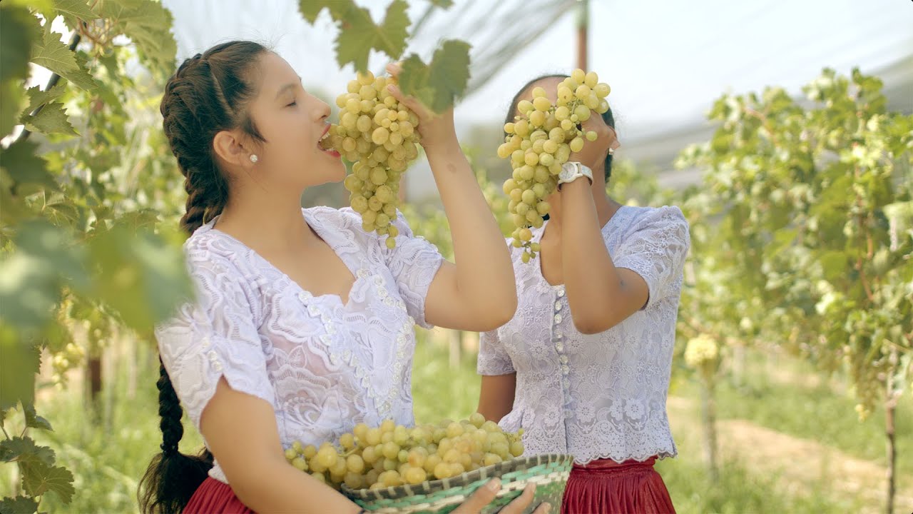 OMEREQUE PARAISO - ENCANTO BOLIVIANO (Video Oficial)