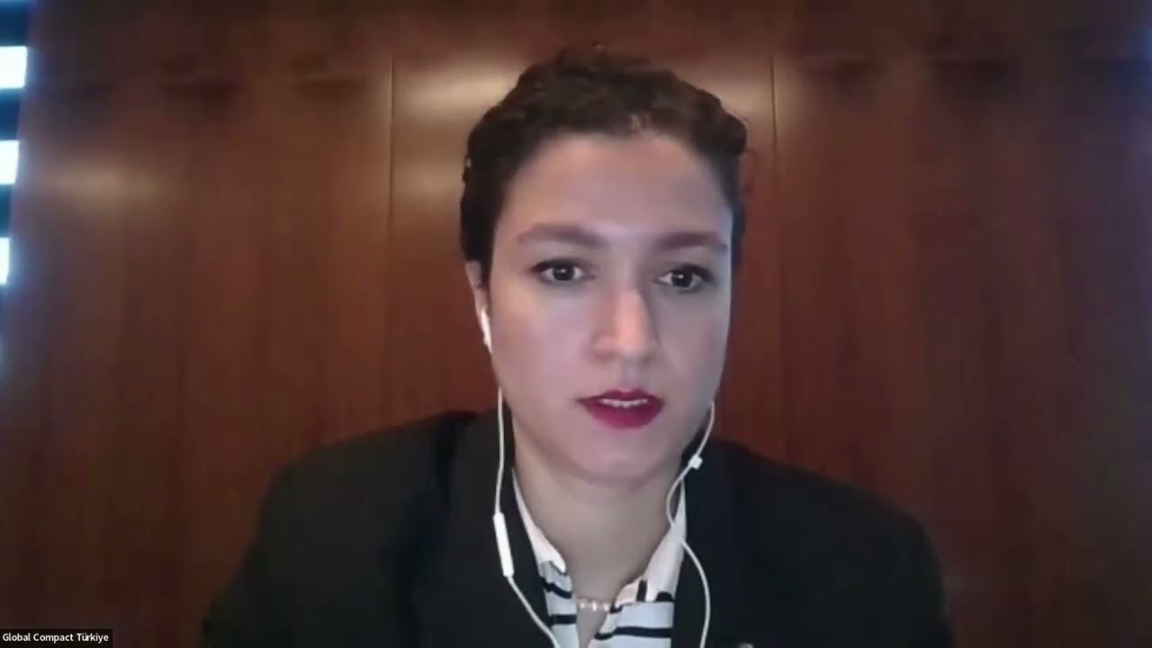 Toplumsal Cinsiyet Eşitliği 101 Eğitimi