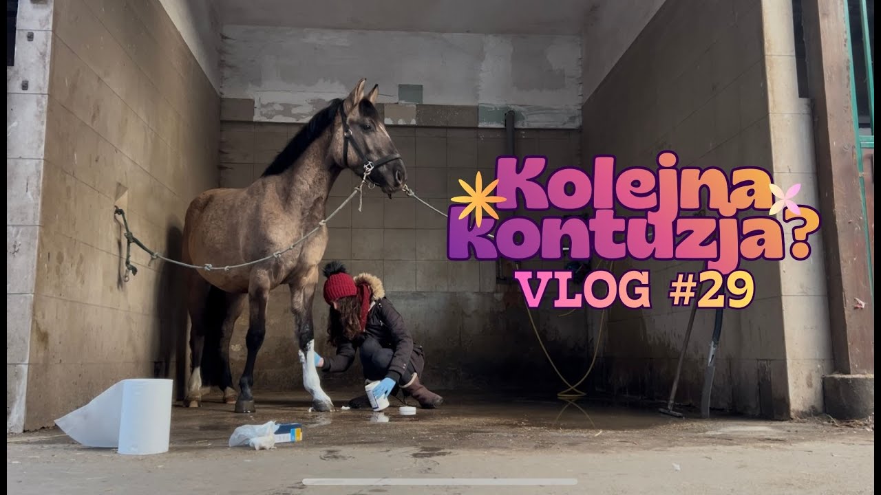 CHMIEL ZNÓW MA KONTUZJĘ?! | Czemu zniknęłam? | Dziennik kontuzji mojego konia cz.1 | VLOG #29