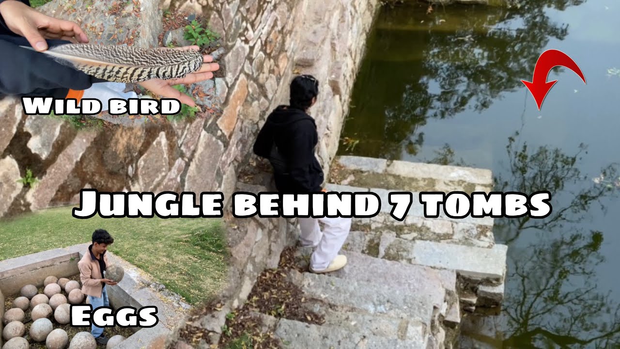 Exploring the Hidden Jungle at 7 Tombs Hyderabad – Very Creepy Discoveries 