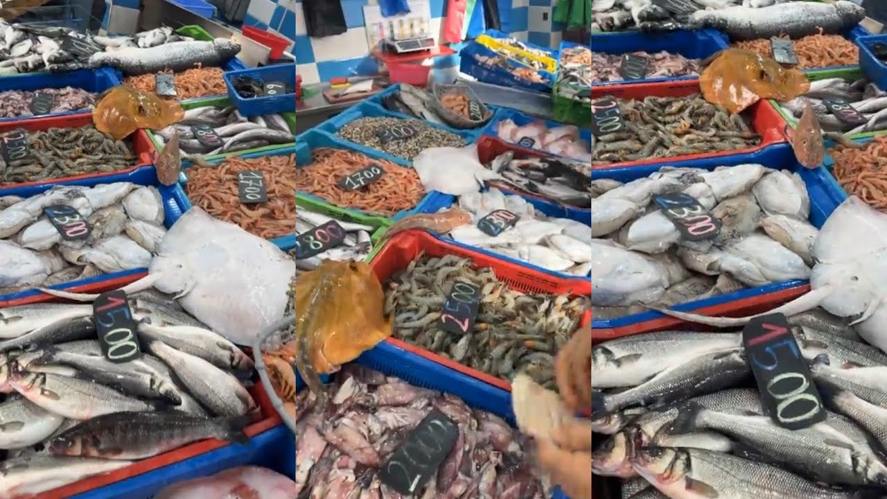 اسعار وانواع السمك اليوم في الجزائر /سوق السمك ميناء زموري مسمكة خوجة 