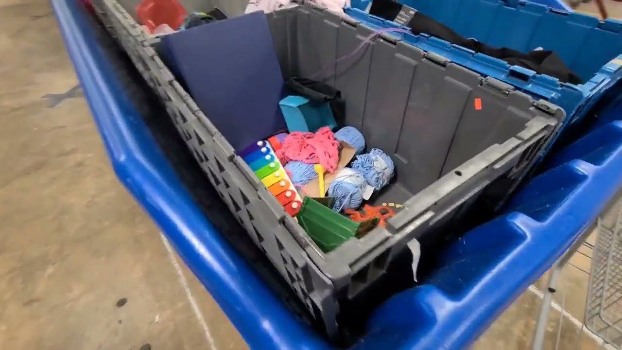 Quick trip to the Goodwill bins. What did I find?