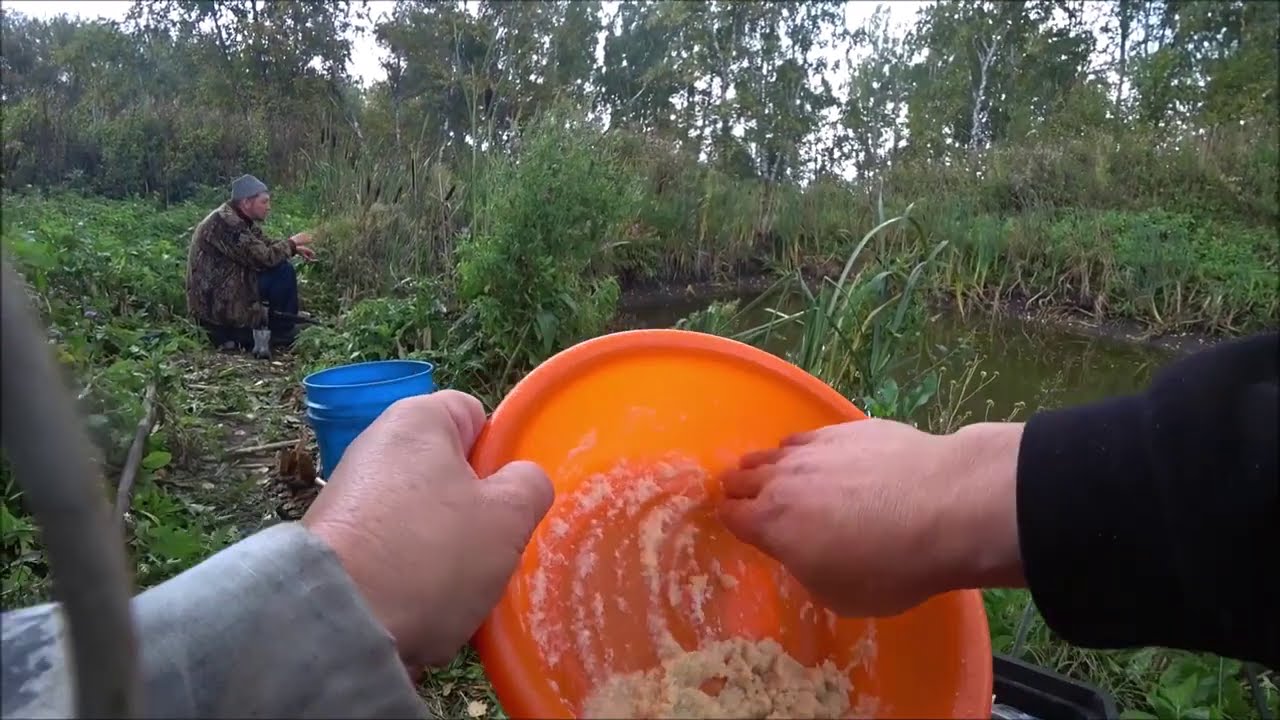 ХЕРАБУНА КАРП НА КАРАСЁВУЮ ОСНАСТКУ carp  fishing