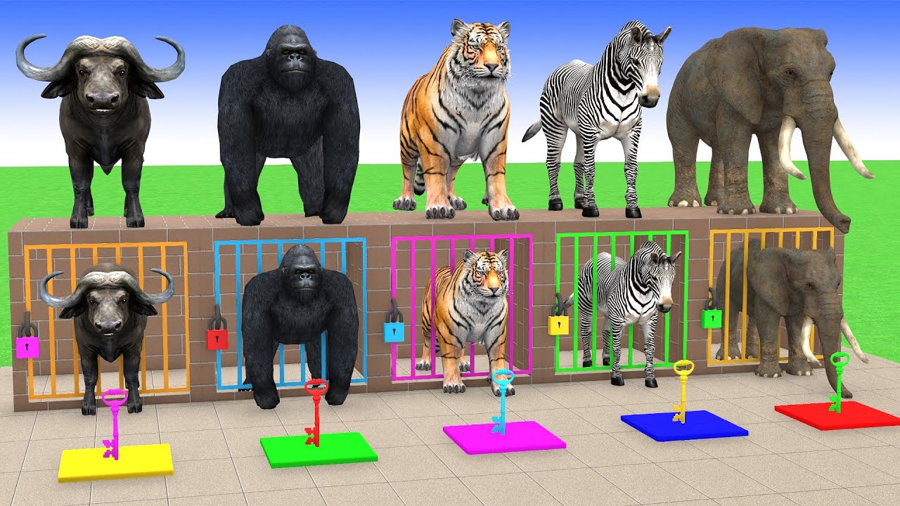 Long Slide Game with Cow Elephant Gorilla Hippopotamus Tiger 3d Animal Game Funny 3d Animals