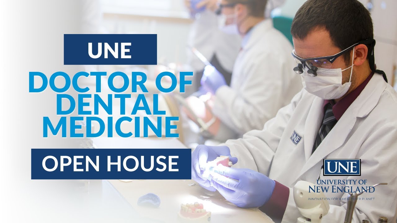 What’s It Like to Study Dentistry at UNE? | Get the Inside Scoop!