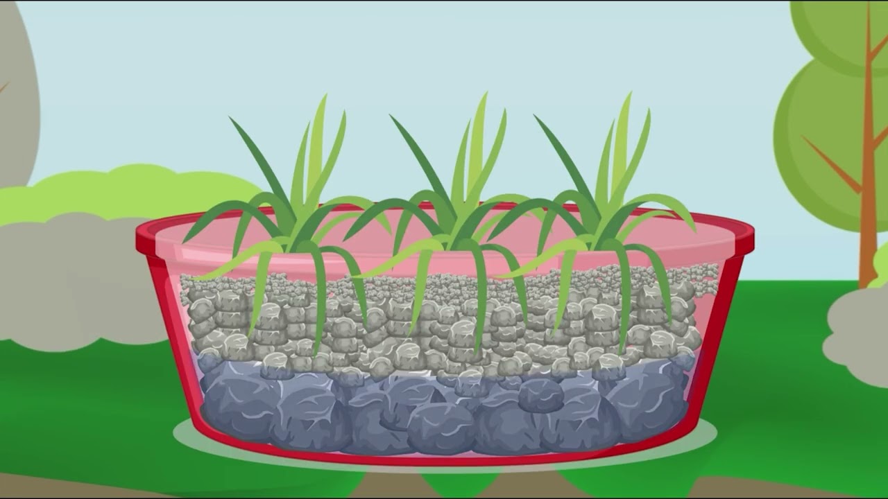 Biofiltro tratamiento de aguas grises