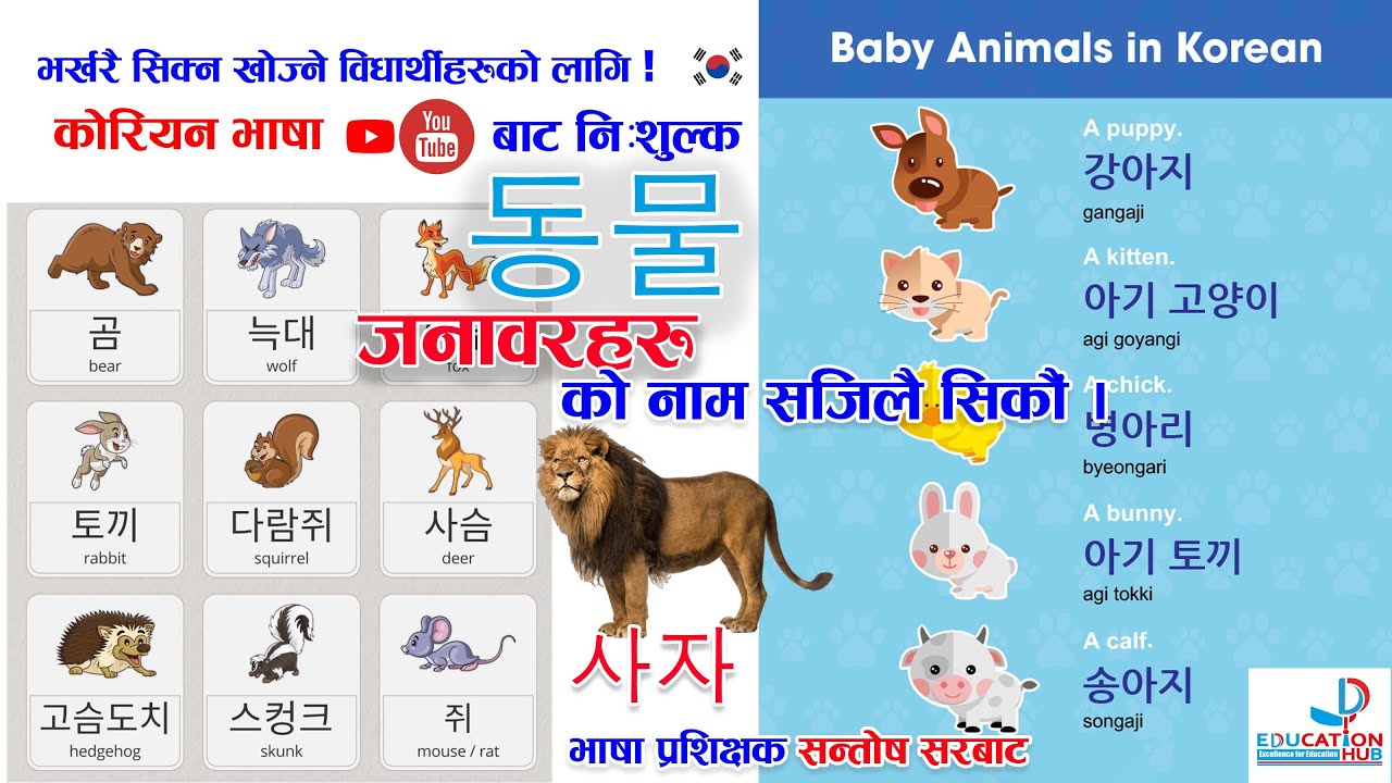 कोरियन भाषामा जनावर सम्बन्धित मिनिङहरु ५ मिनेट मै फरर  || 동물 | सन्तोष सरबाट #korea #animals #eps