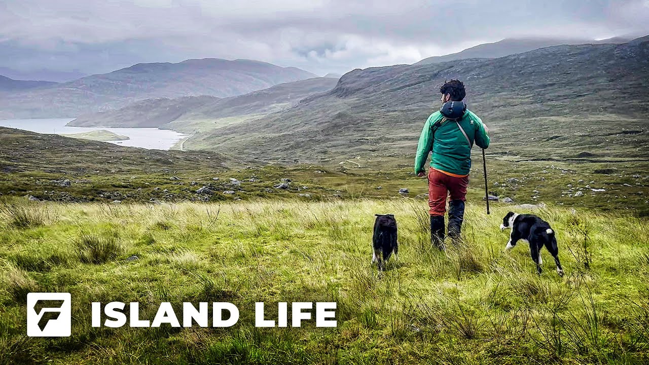 How Does Scottish CROFTING Work?